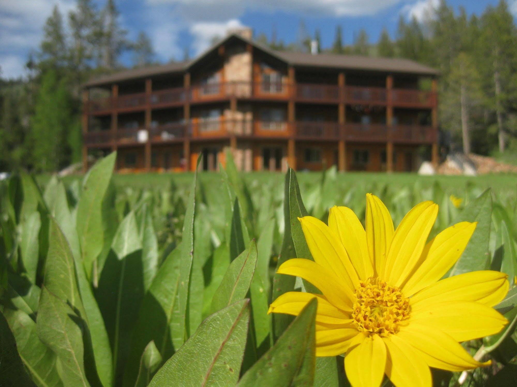 Beaver Creek Lodge Logan Kültér fotó